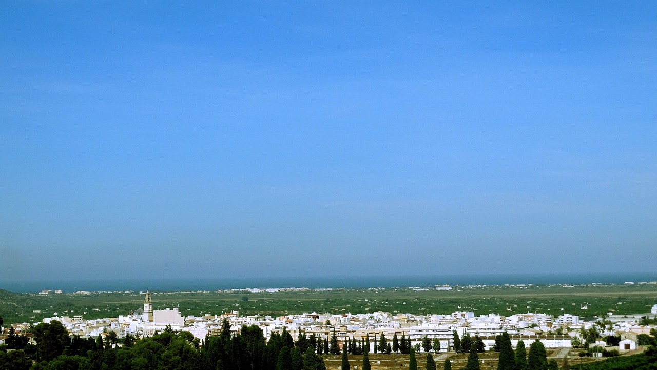 皮毛市场行情深度解析，最新市场动态与趋势分析