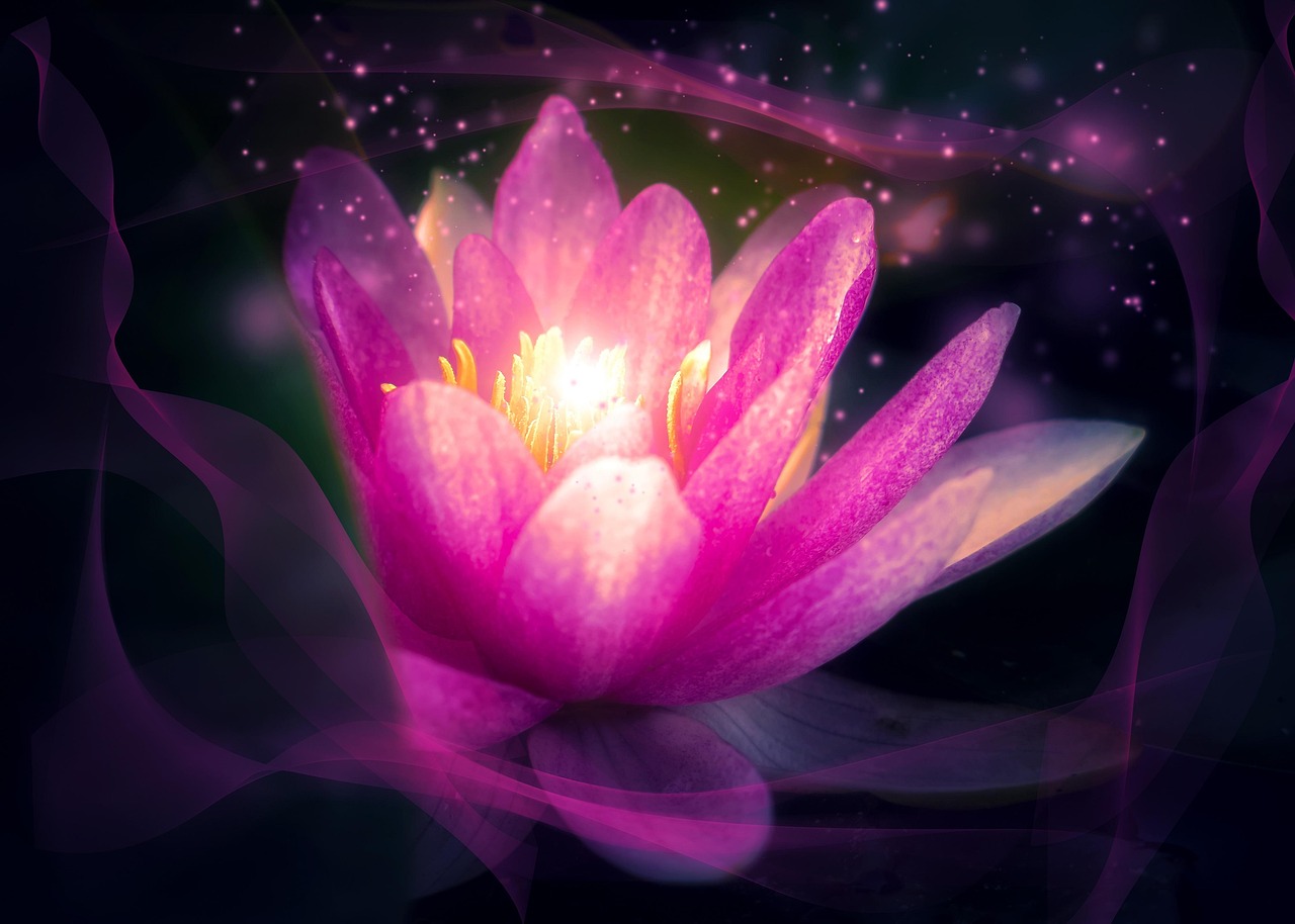 莲花健康最新公告深度解读，今日关注焦点